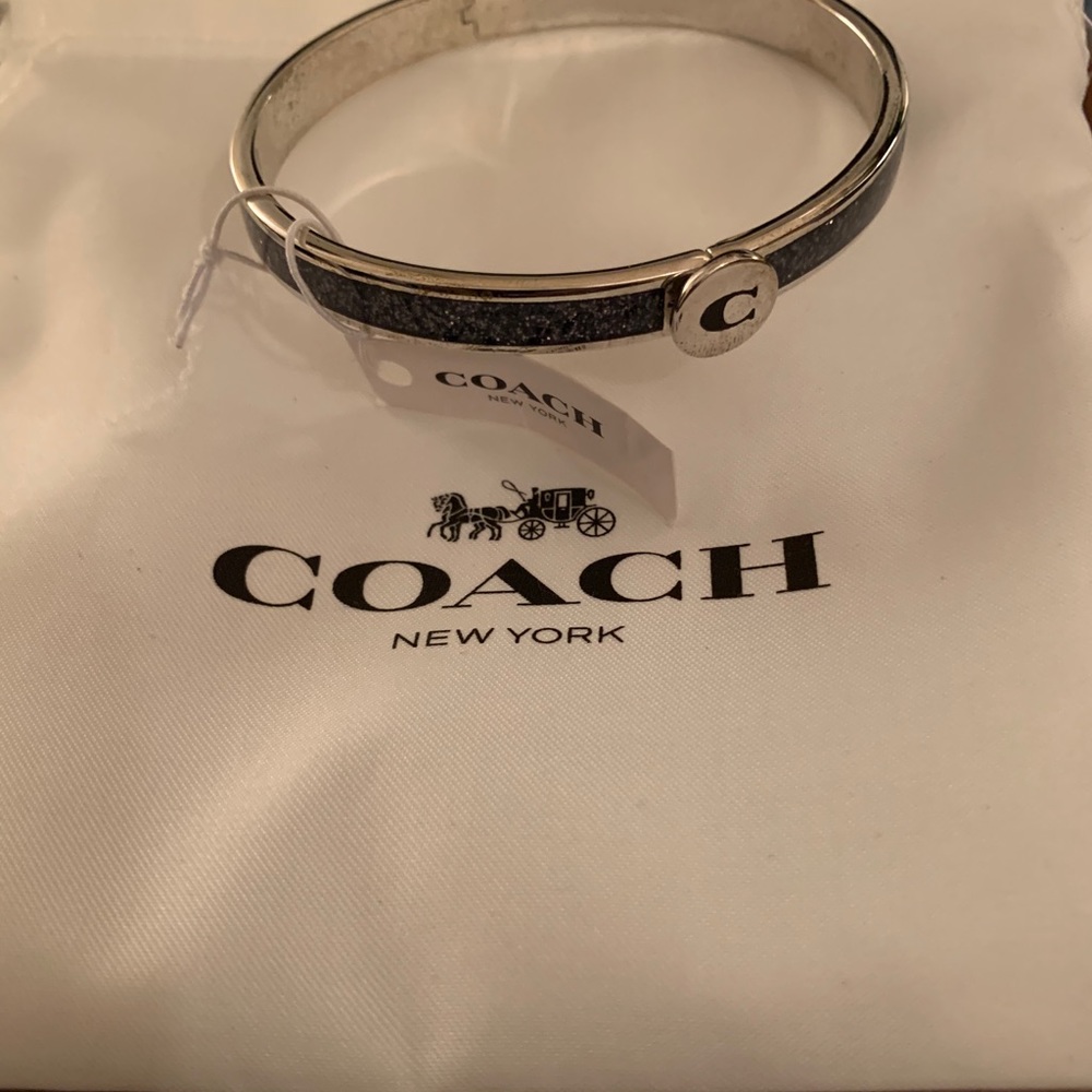 NWT Coach Silver & Speckle Blue bracelet - Picture 2 of 3